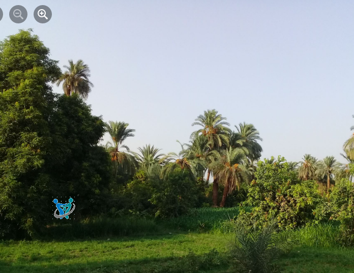 جزيرة المنصورية بأسوان لن تصدق جمالها من الداخل ولكنها تُعاني 2 المنصورية